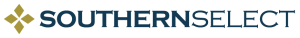 Southern Select Financial Services (Pty) Ltd